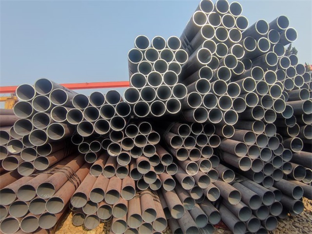 IMG_20230401_153539.jpg IMG_20230401_153539.jpg